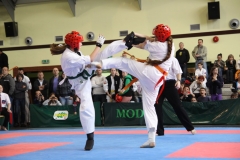 IMG_0098-20130414