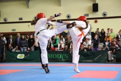 IMG_0100-20130414