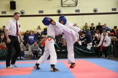 IMG_0231-20130414