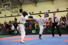 IMG_0279-20130414