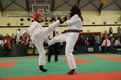 IMG_0370-20130414