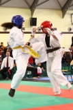 IMG_0421-20130414