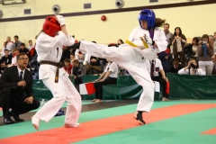 IMG_0494-20130414