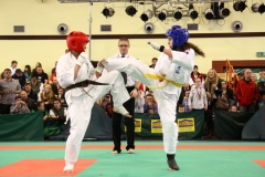 IMG_0510-20130414