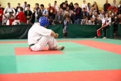 IMG_0584-20130414