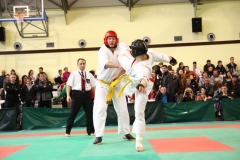 IMG_0590-20130414