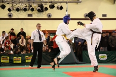 IMG_0675-20130414
