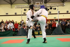 IMG_0690-20130414