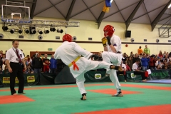 IMG_0827-20130414