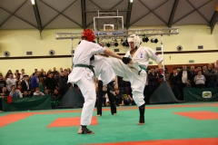 IMG_0929-20130414