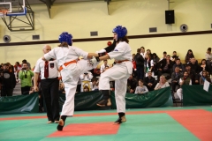 IMG_1018-20130414
