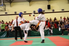 IMG_1029-20130414