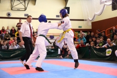 IMG_1073-20130414