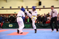 IMG_1102-20130414