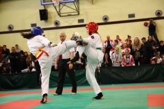 IMG_1131-20130414