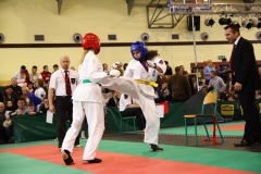 IMG_1169-20130414