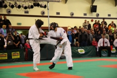 IMG_1384-20130414