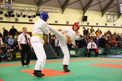 IMG_1458-20130414