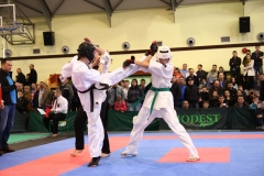 IMG_1476-20130414
