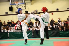 IMG_1508-20130414