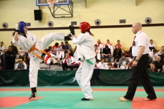 IMG_1539-20130414