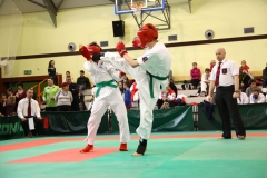 IMG_1545-20130414