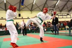 IMG_1550-20130414