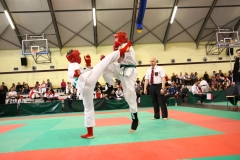IMG_1551-20130414