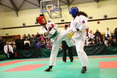 IMG_1739-20130414