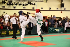 IMG_1905-20130414