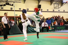 IMG_1906-20130414