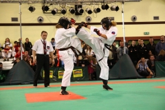 IMG_1937-20130414