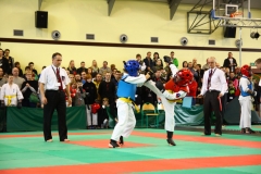 IMG_6941-20130413