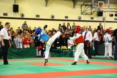 IMG_6945-20130413