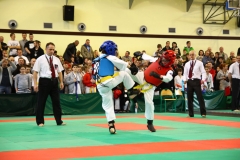 IMG_6947-20130413