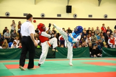 IMG_6977-20130413