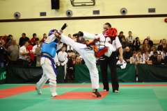 IMG_7108-20130413