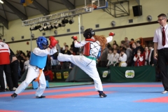 IMG_7223-20130413