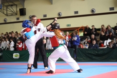 IMG_7245-20130413