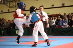 IMG_7381-20130413