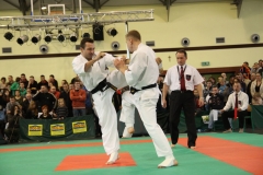 IMG_8250-20130413