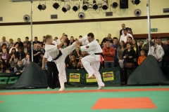 IMG_8284-20130413