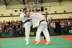 IMG_8347-20130413