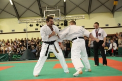 IMG_8352-20130413