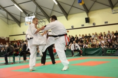 IMG_8378-20130413