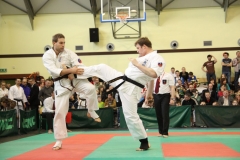 IMG_8395-20130413