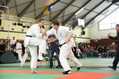 IMG_8407-20130413