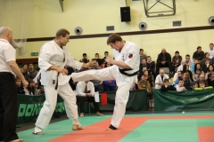 IMG_8421-20130413