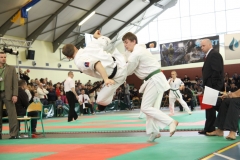 IMG_8500-20130413
