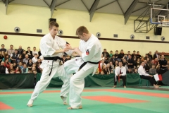 IMG_8502-20130413